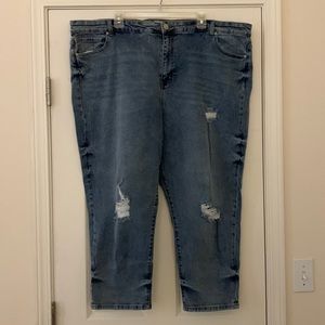 ELOQUII Denim Jeans Size 22